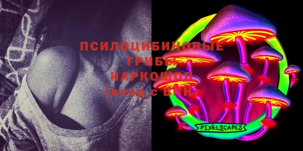 дурь Балахна